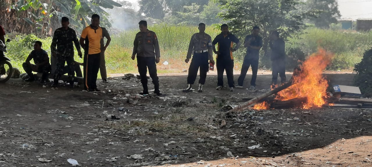 Meresahkan Warga, Arena Judi Sabung Ayam di Jabon Dibersihkan Petugas