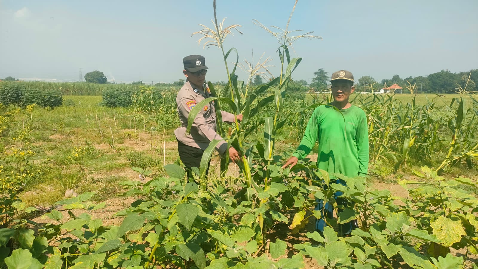 Polsek Krembung Gencarkan Program Ketahanan Pangan di Desa Tanjegwagir