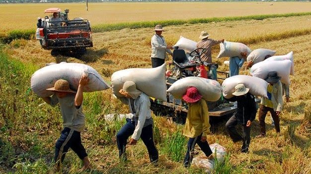 Bernarkah Nilai Dolar Tak Berpengaruh bagi Desa? Ini Sebenarnya