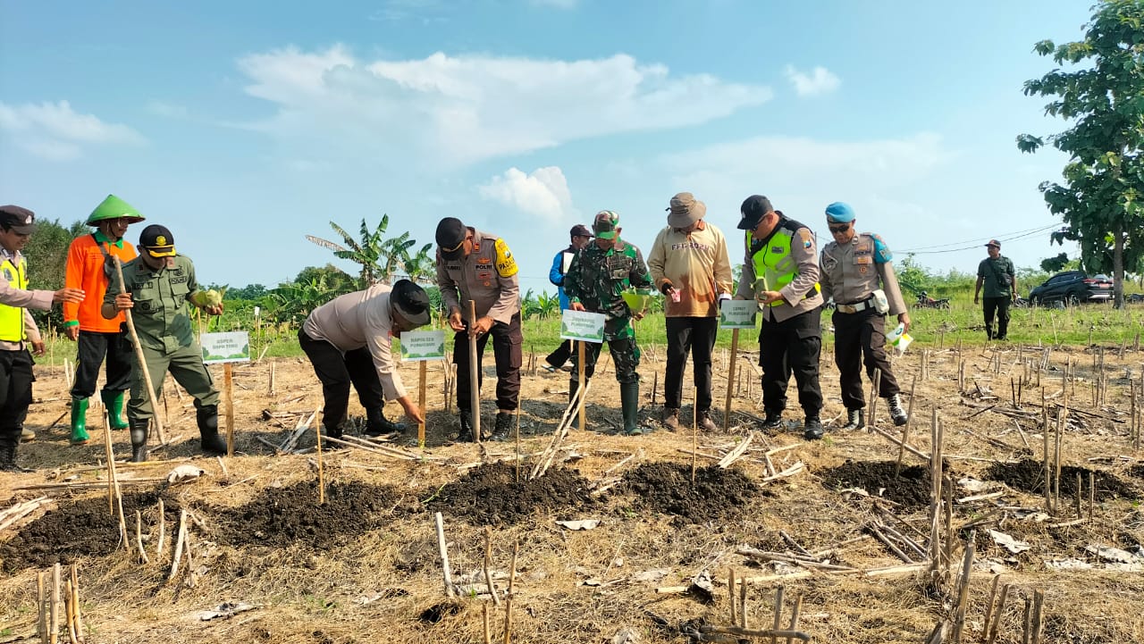 Dukung Ketahanan Pangan, Kapolsek Purwosari Taman Jagung 