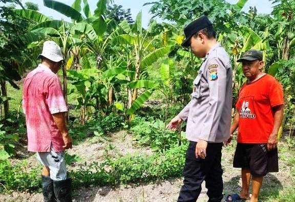 Warga Kedungturi Taman Manfaatkan Lahan Kosong untuk Ketahanan Pangan