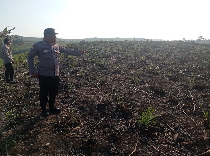 Bakar Daun Tebu Kering, Nenek di Blitar Tewas Terjebak Kobaran Api