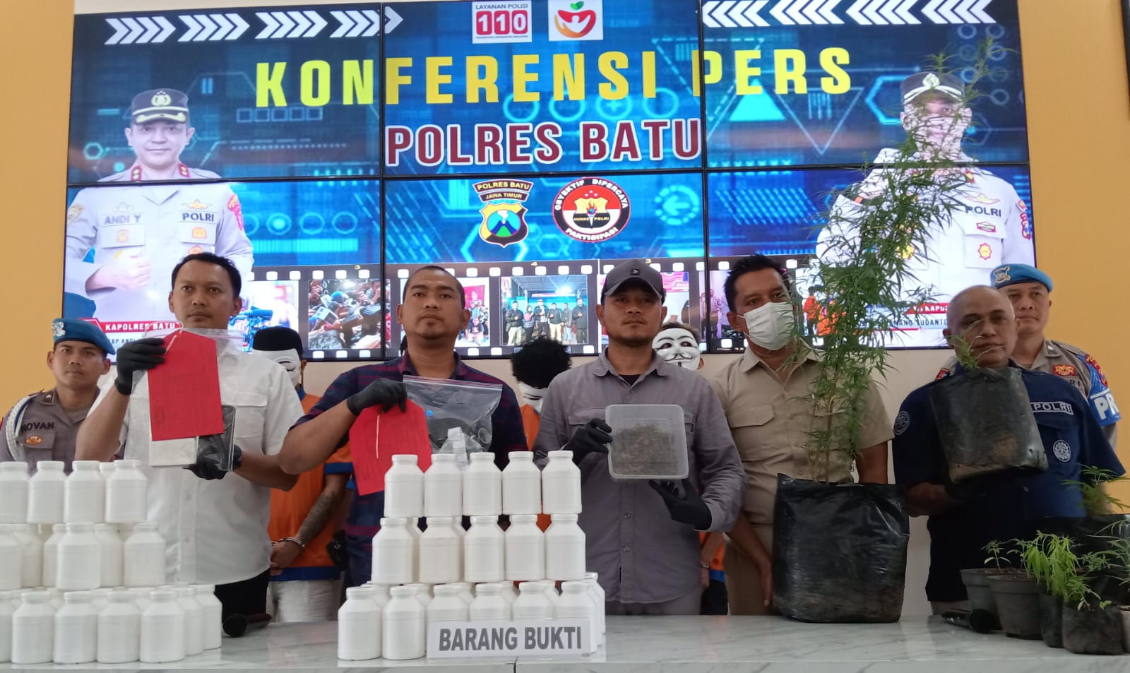 Polres Batu Amankan Petani Ganja, Ternyata Sarjana Pertanian Universitas Terkemuka di Kota Malang