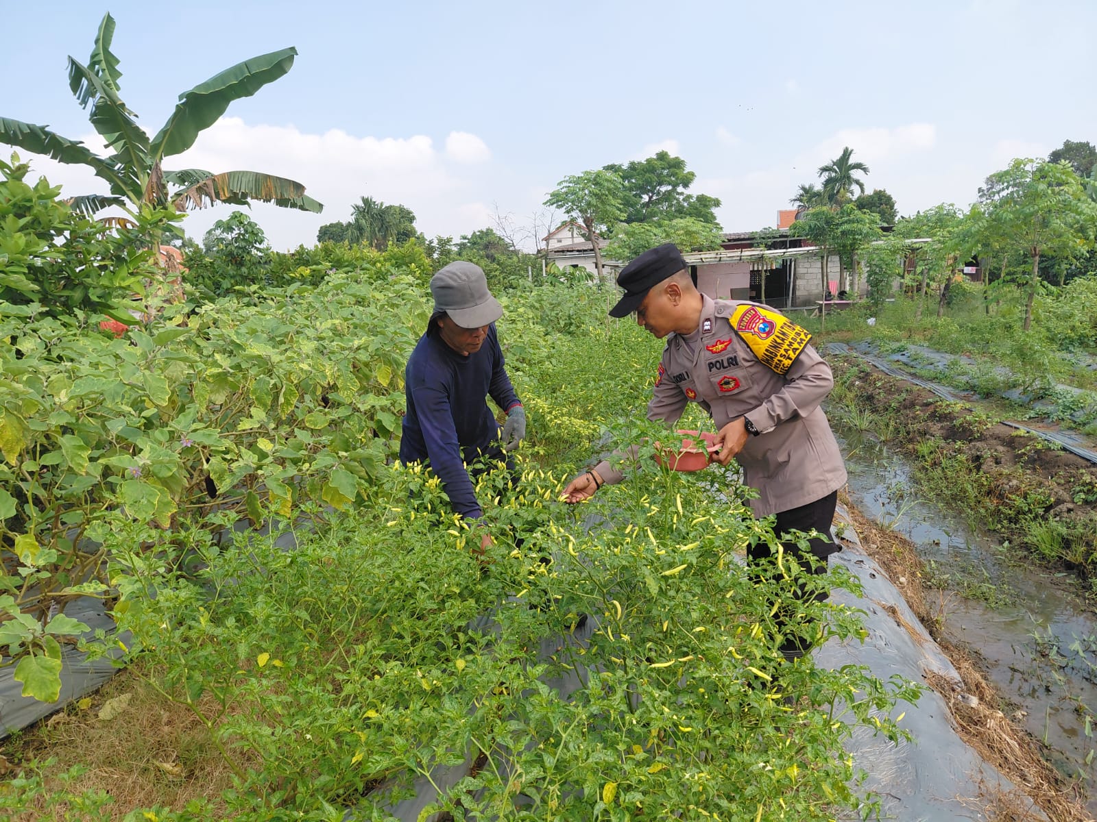 Polisi Tinjau Lahan Hortikultura Warga Sambibulu Taman