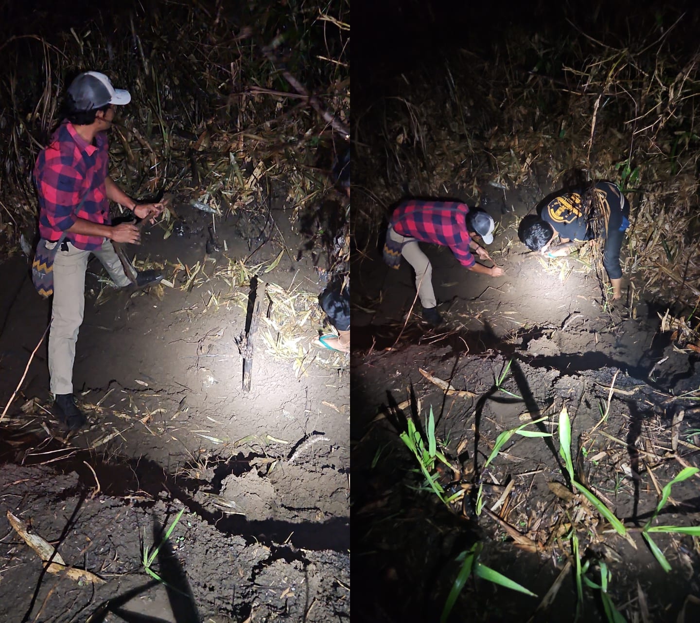 Mayat Perempuan di Lahan Tebu Sumberejo Teridentifikasi