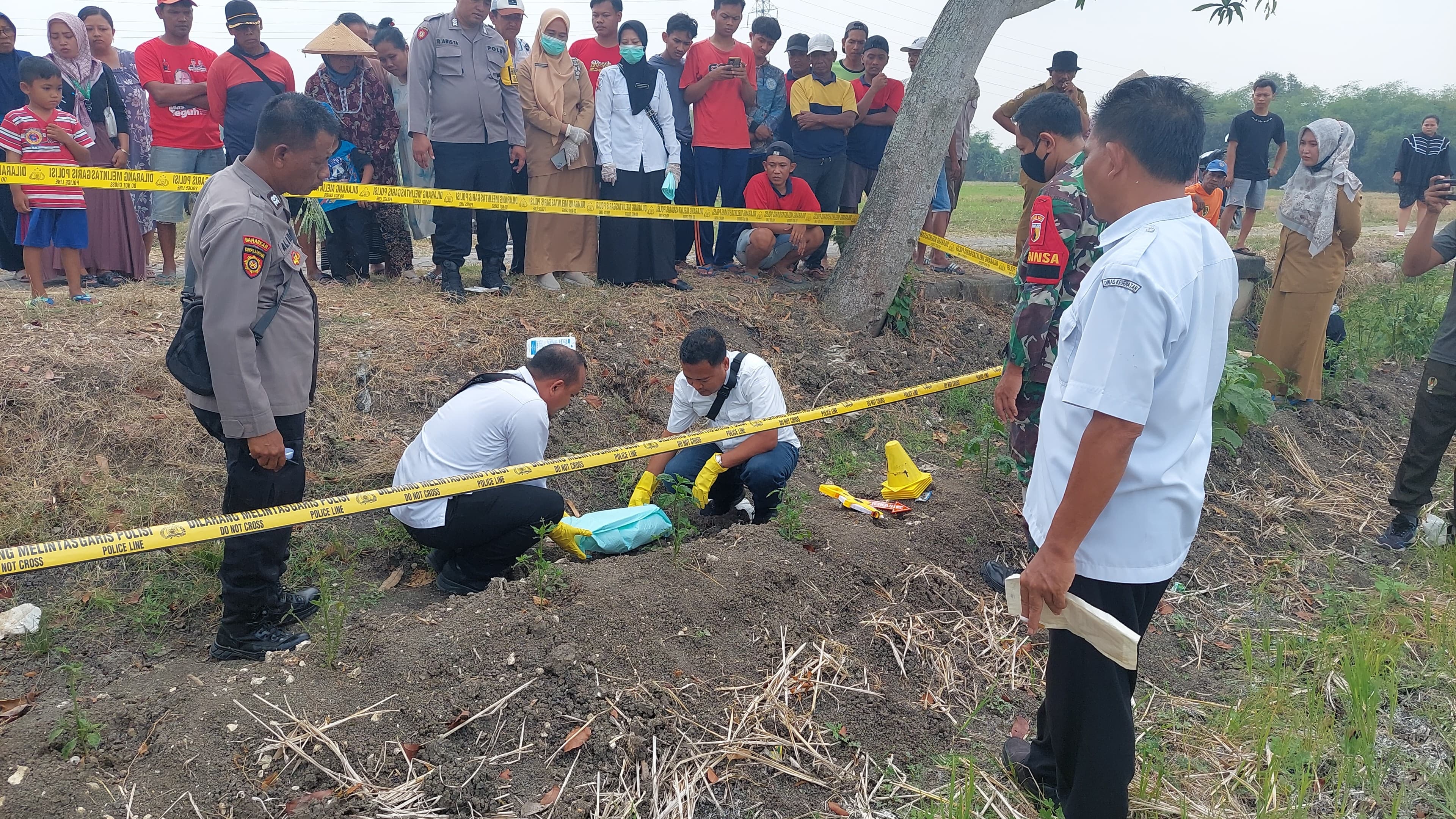 Geger! Warga Bojonegoro Temukan Jasad Bayi Baru Lahir di Sawah