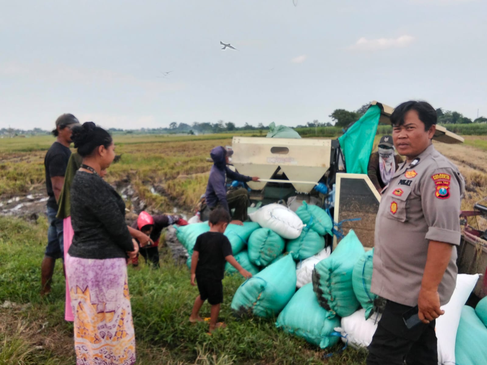Polisi Prambon Apresiasi Hasil Panen Padi Warga Semampir