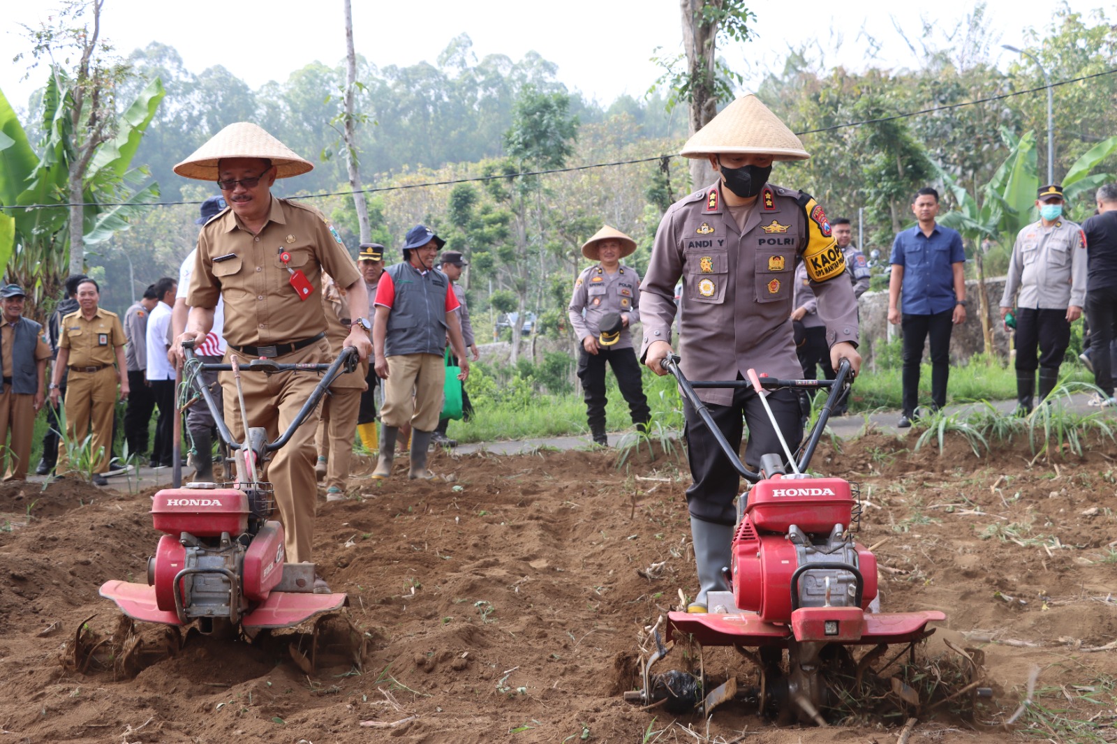 Kapolres Batu Turun Langsung Bertani Hidupkan Lahan Tidur, Dukung Ketahanan Pangan