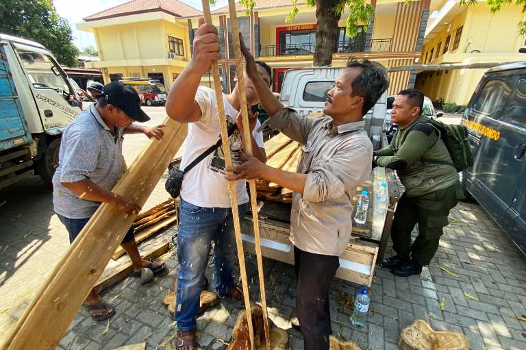 Polisi dan KPH Bondowoso Bongkar Sindikat Illegal Logging di Situbondo