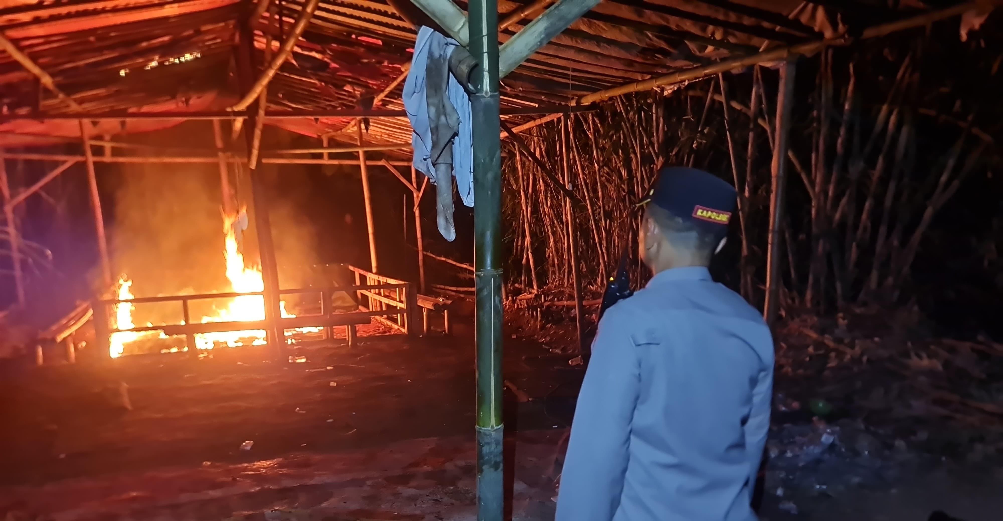 Polres Malang Gerebek Judi Sabung Ayam Karangploso, Amankan 47 Motor