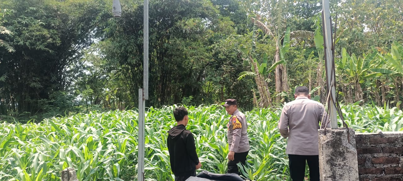 Polsek Tarik Gandeng Ponpes Gencarkan Ketahanan Pangan