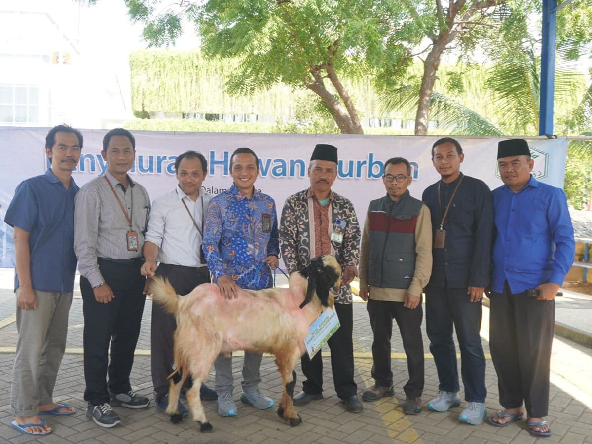 PLN Indonesia Power UBP Grati Salurkan Hewan Kurban di Momen Iduladha