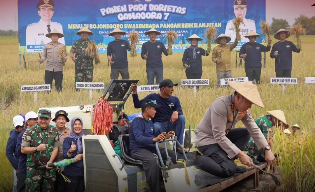 Dukung Swasembada Pangan, Kapolres Bojonegoro dan Forkopimda Panen Raya Padi Varietas Gamagora 7