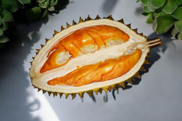 Durian Oranye Lereng Semeru yang Menggoda Lidah