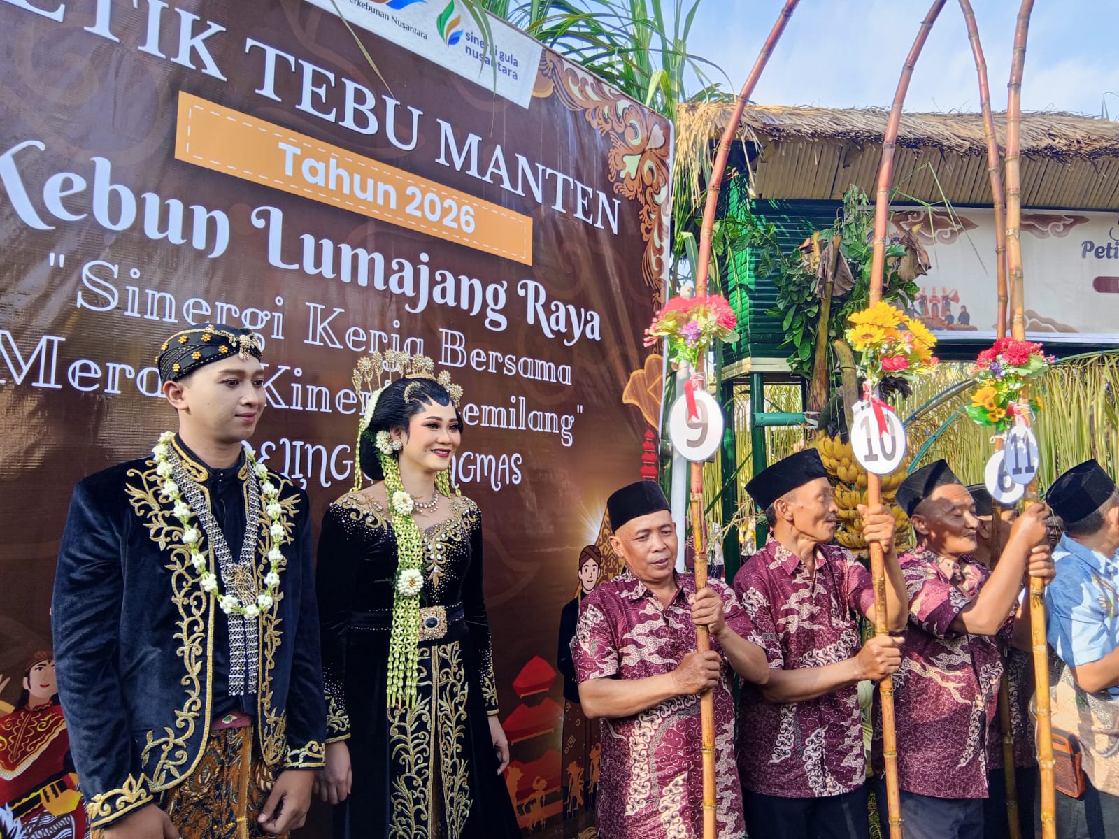 Lestarikan Budaya, Tradisi Petik Tebu Manten Tandai Dimulainya Musim Giling PG Jatiroto 2026
