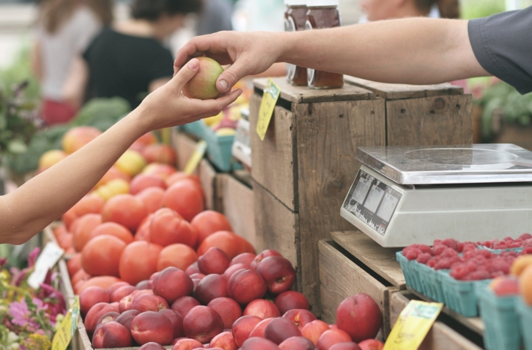 Pilih Buah yang Tepat, Hindari Busuk dan Nikmati kesegaran Maksimal!