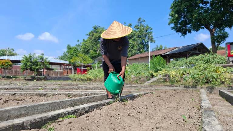 Dorong Kemandirian, WBP Lapas Kediri Tanam Terong