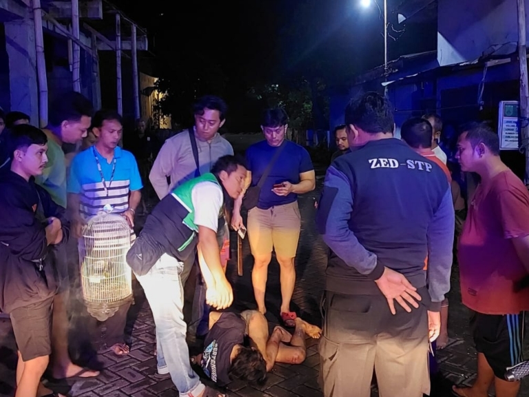 Maling Lovebird Dimassa, Satu Pelaku Buron