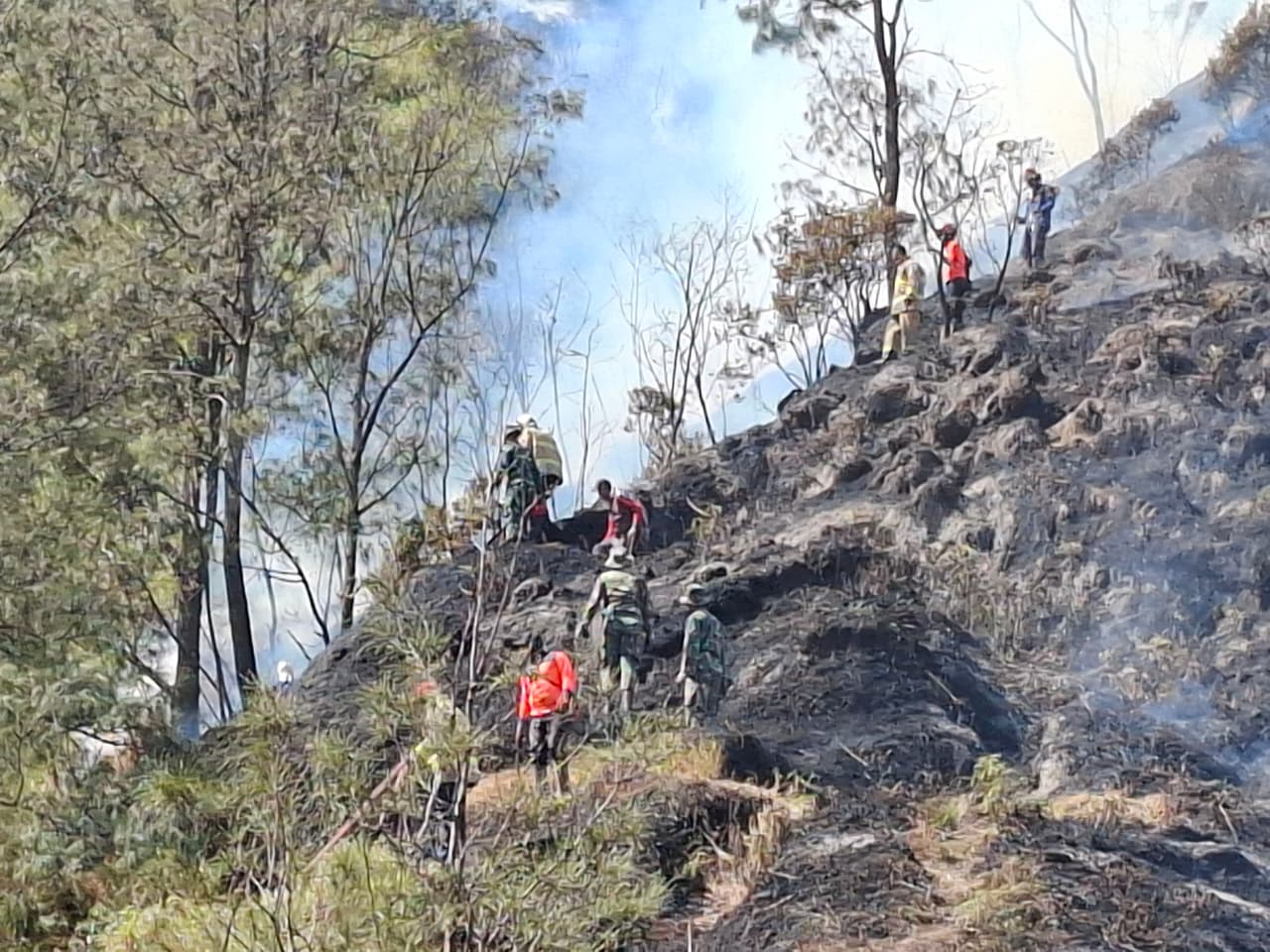 Kebakaran Hutan dan Lahan  TNBTS Pasuruan Sulit Dipadamkan, Api Merembet ke Bukit Cinta