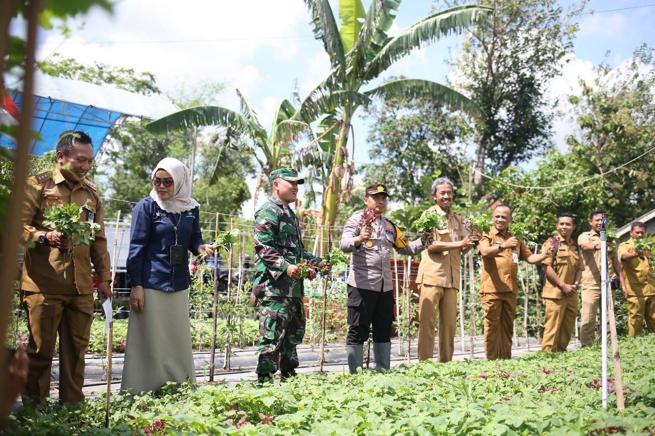 Dukung GNPIP, Pemkot Safari Panen Cabai dan Sayuran Hasil Pekarangan Pangan Lestari