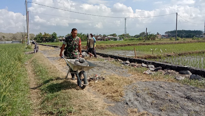 Perkuat Infrastruktur Pertanian, Babinsa Grati Bersama Petani Bangun Drainase 200 Meter
