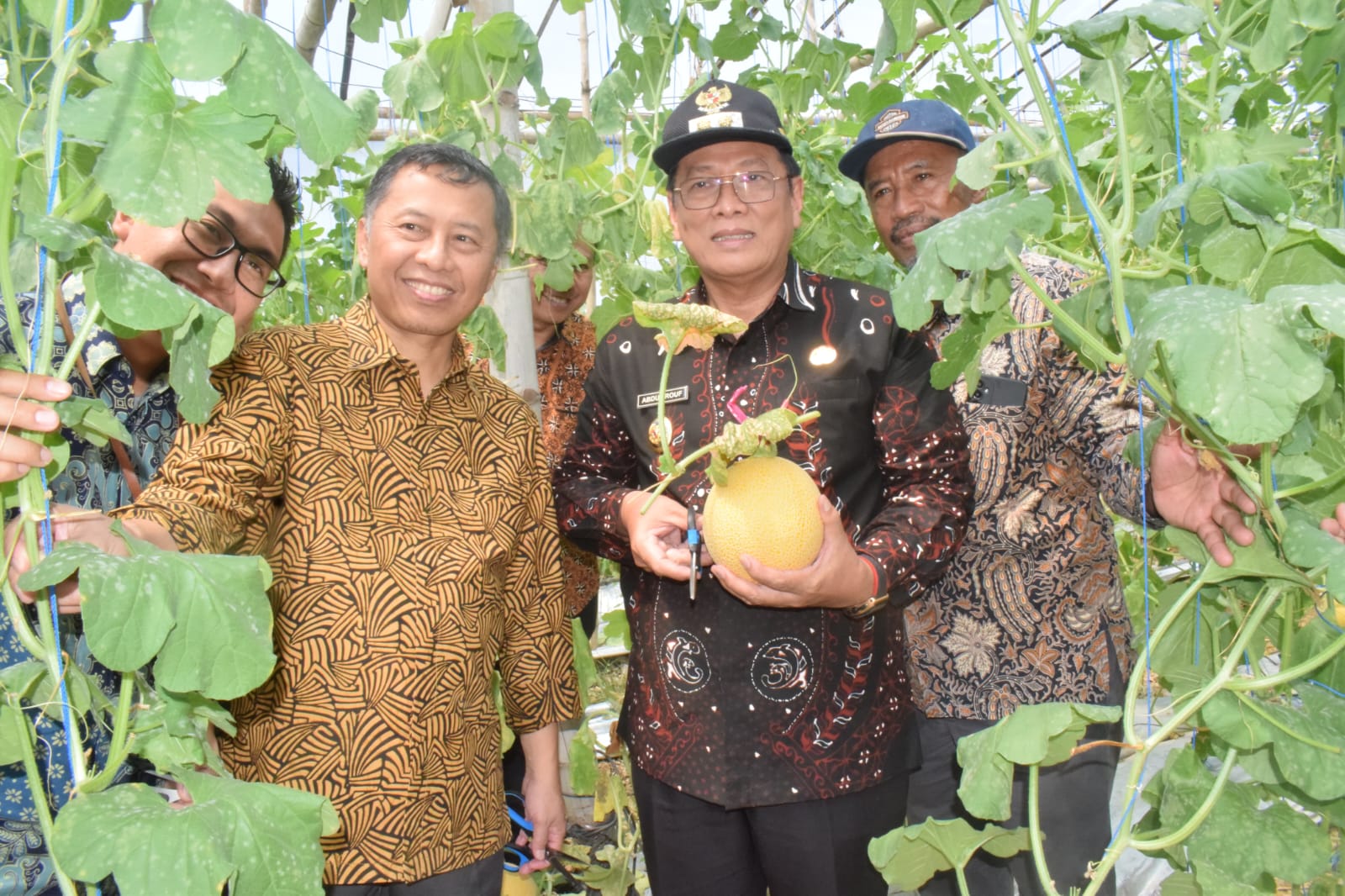 Diversifikasi Pangan, Buah Melon Jadi Salah Satu Unggulan Lamongan