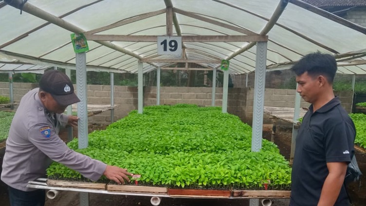 Polsek Sempu Optimalkan Progam Asta Cita Presiden Prabowo, Kunjungi Pekarangan Cabai Warga Jambewangi