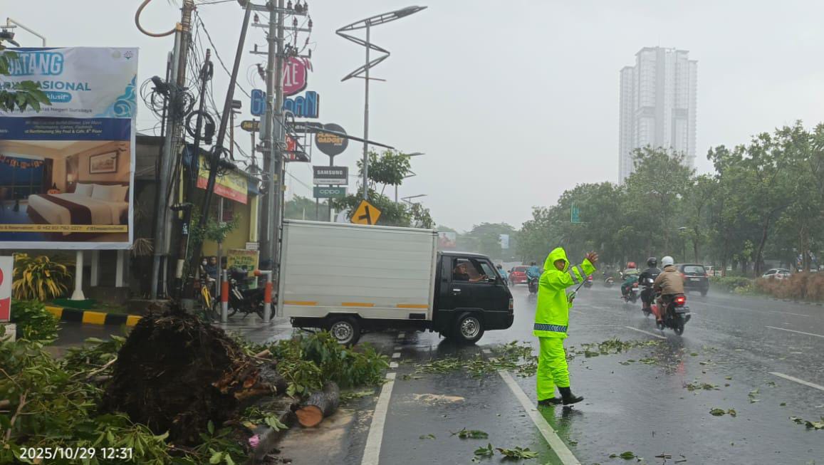 Respons Cepat Polsek Gayungan dan Instansi Terkait Atasi Pohon Tumbang di Jalan A Yani