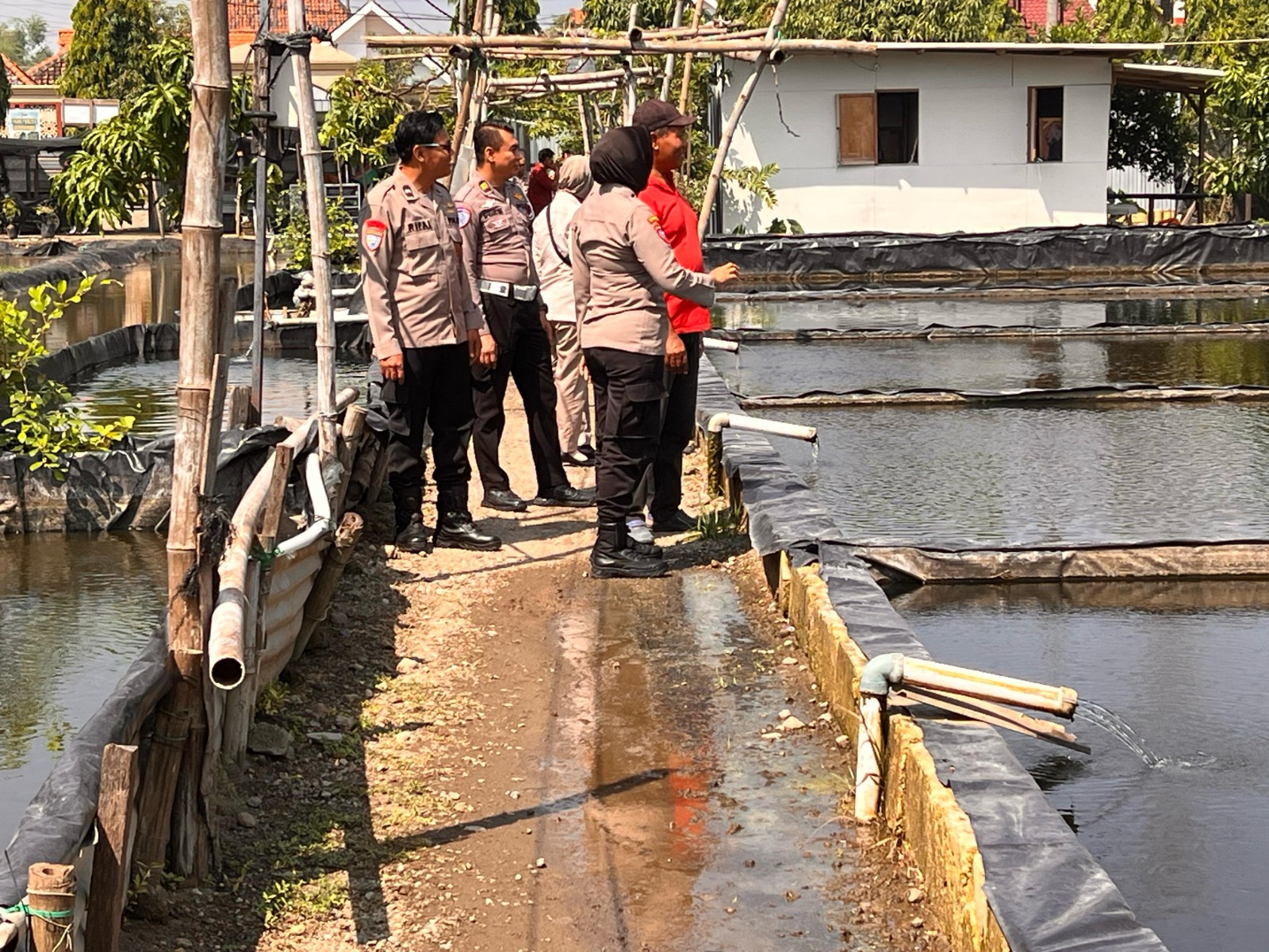 Budi Daya Gurami Desa Popoh Wonoayu Didatangi Tim Monev Program Ketahanan Pangan Polresta Sidoarjo 