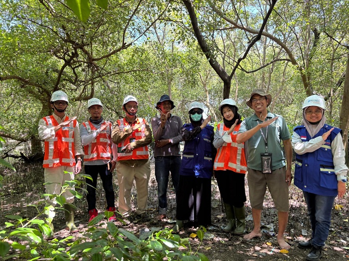 Lestarikan Mangrove, Terminal Petikemas Surabaya Perkuat Keberlanjutan Pesisir di Tanjung Perak