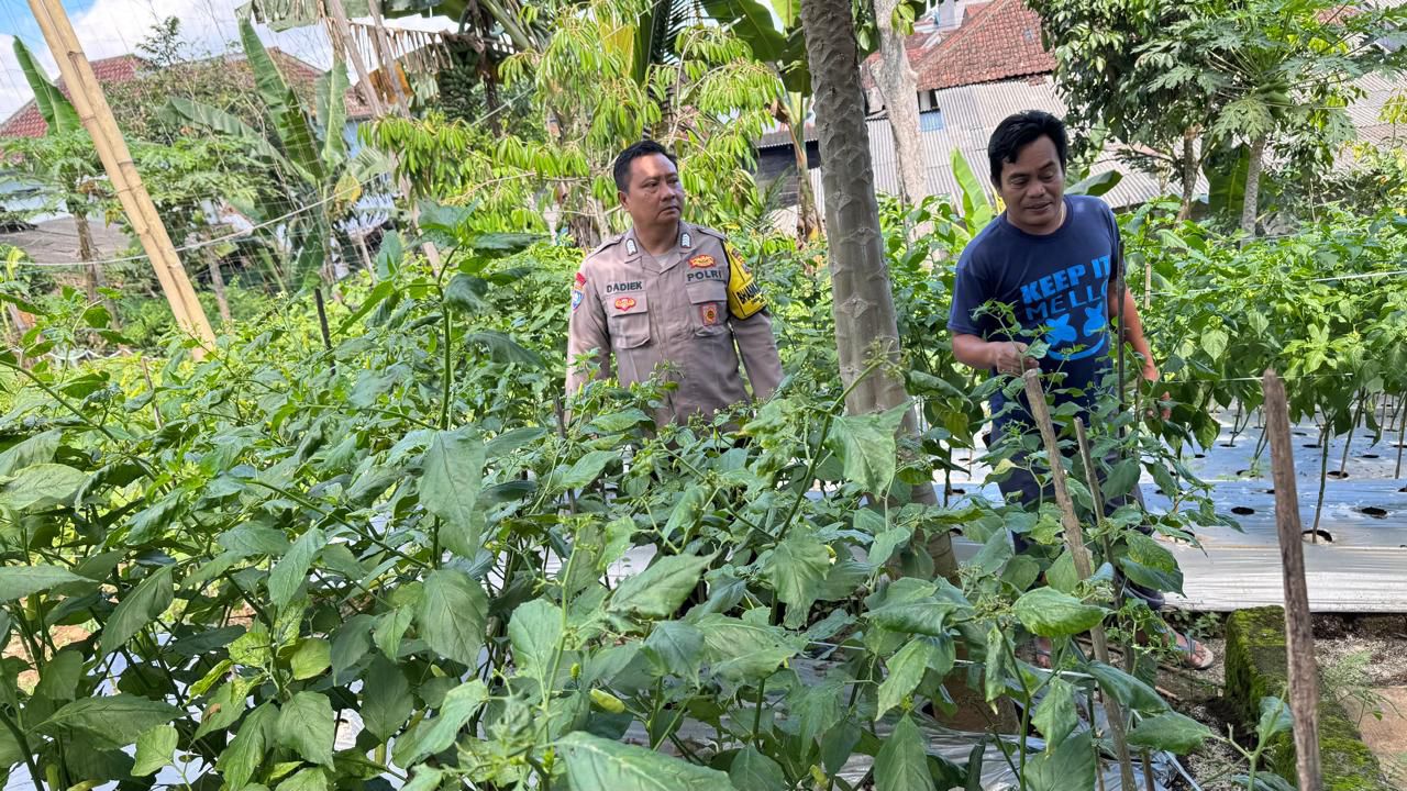 Polresta Banyuwangi Dukung program Pekarangan Pangan Bergizi di Desa Karangsari