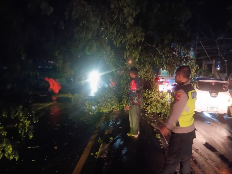 Angin Puting Beliung Terjang Sukodadi Lamongan Akibatkan Pohon Tumbang dan Warung Rusak
