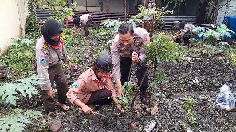 Dukung Ketahanan Pangan: Polsek Padangan dan Saka Bhayangkara Manfaatkan Pekarangan Kosong