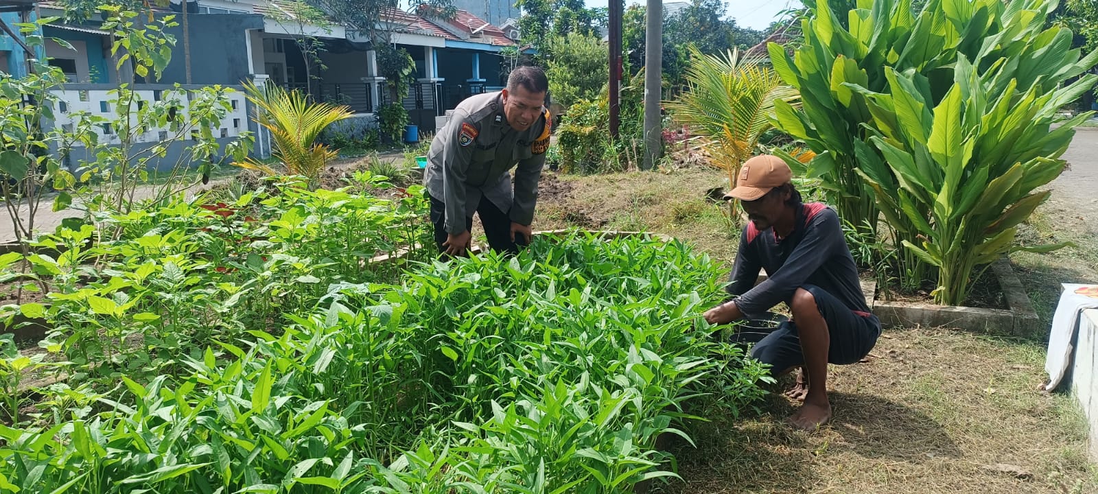Kapolsek Sedati Optimalkan Peran Bhabinkamtibmas untuk Dukung Ketahanan Pangan Polresta Sidoarjo