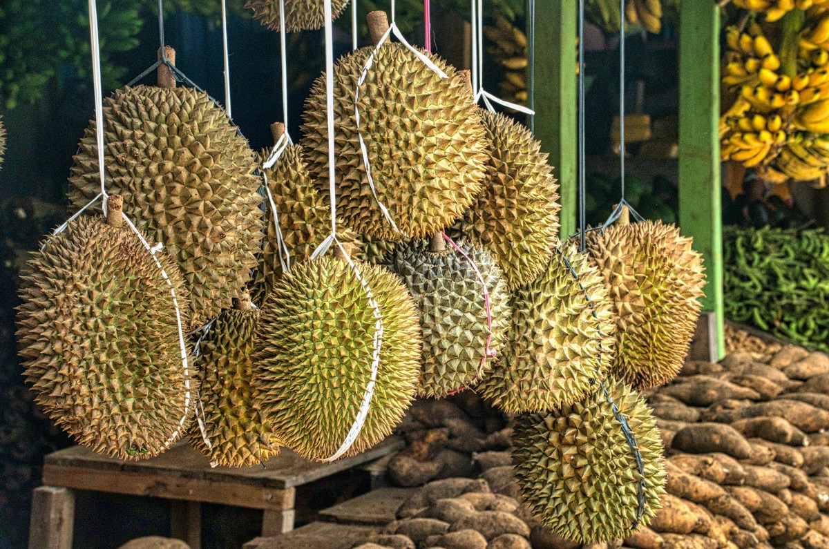 Durian Musang King vs Montong dalam Adu Kelezatan dan Harga