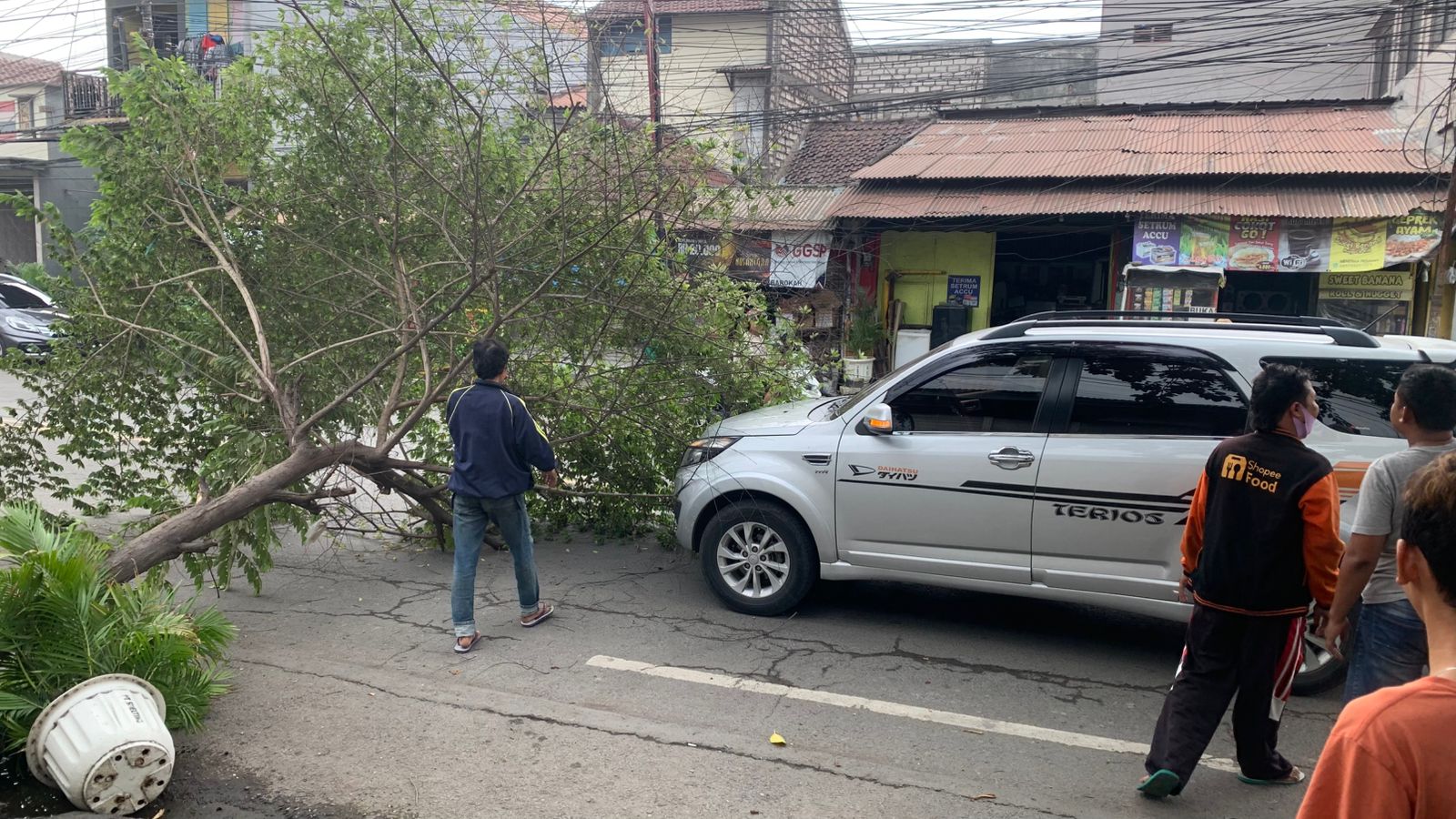 Pohon Tumbang Timpa Terios yang Melintas di Jalan Gubernur Suryo Gresik