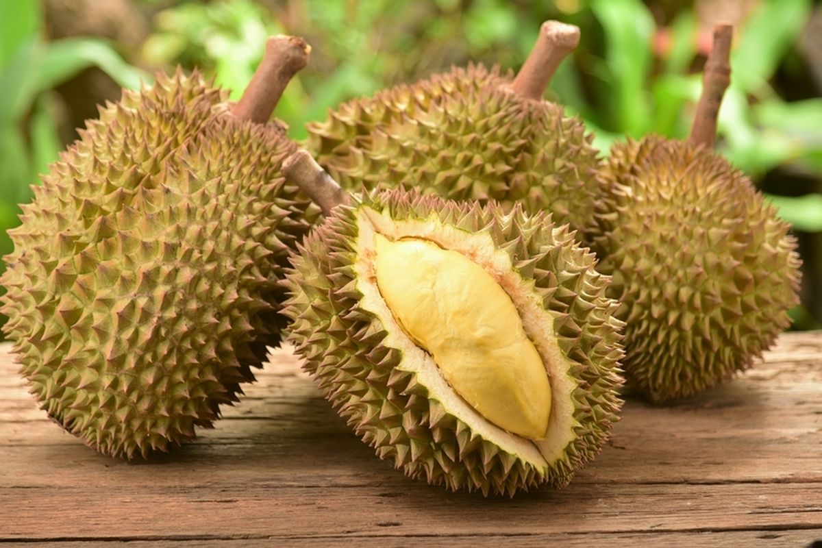 Berikut Sederet Manfaat Durian untuk Anak yang Sayang Dilewatkan
