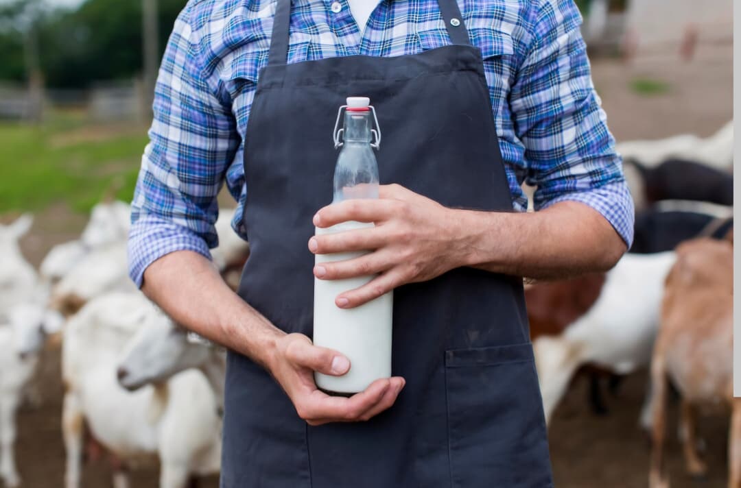 Milkman dan Jejak Distribusi Pangan dari Masa Lalu ke Modern
