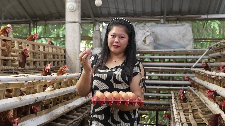 Program MBG Dorong Ekonomi Mikro Peternak Telur Rumahan di Klaten