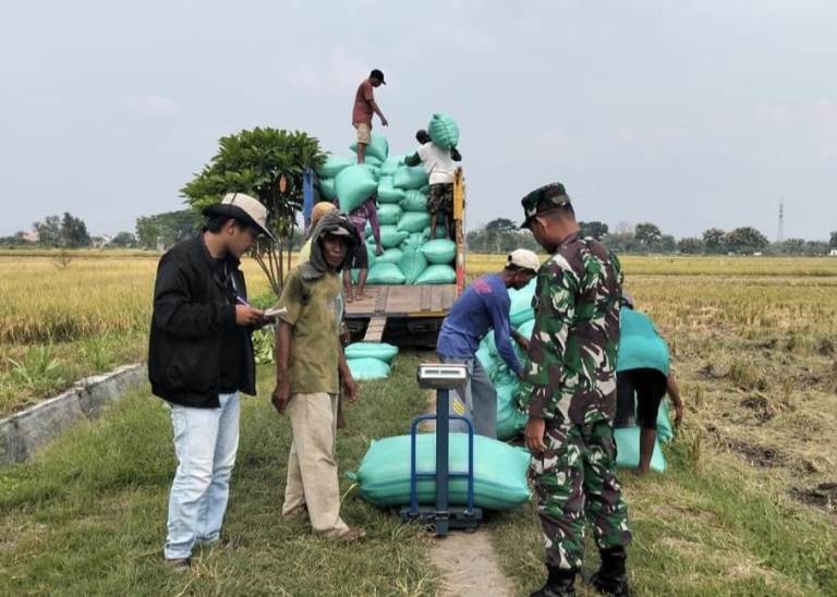 BULOG Jatim Serap 858 Ribu Ton Gabah Sepanjang 2025, Harga Petani Tetap Stabil
