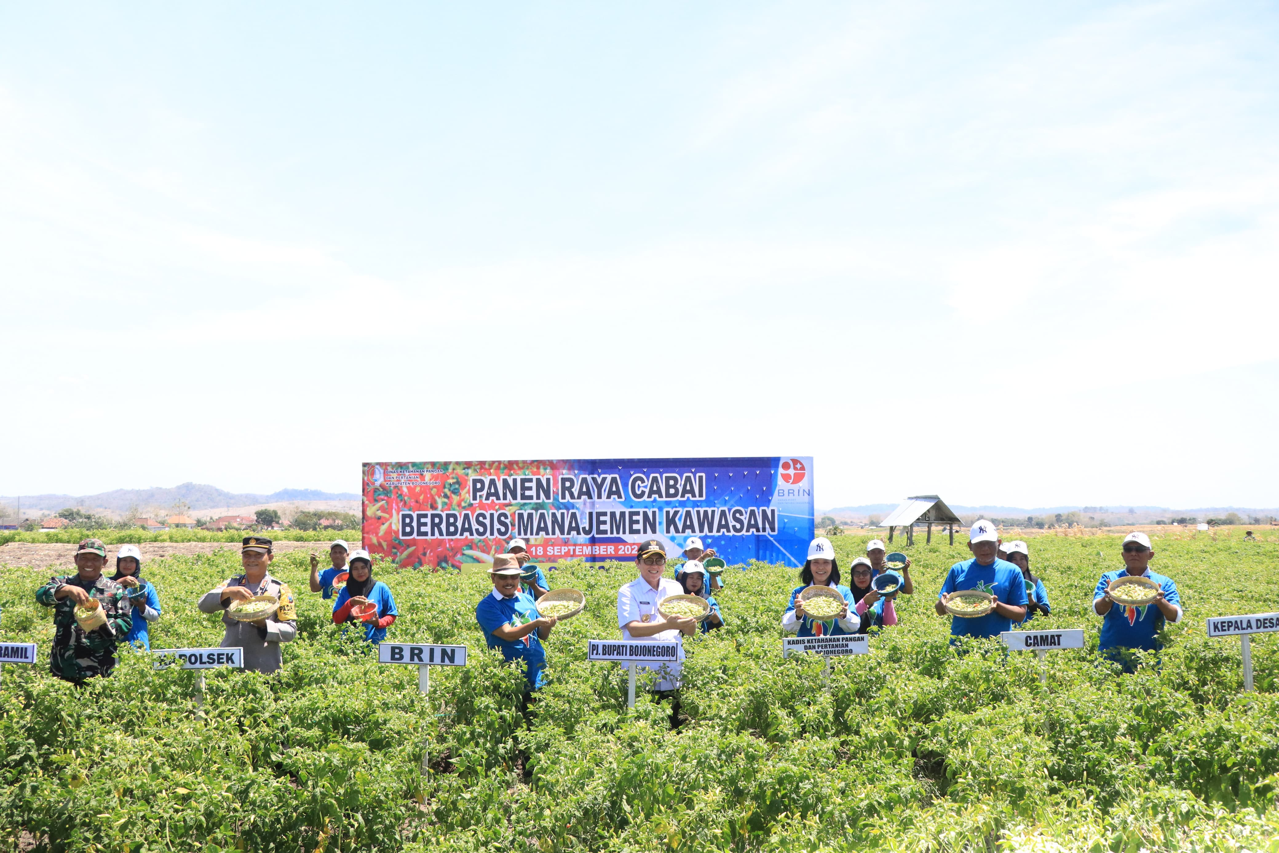 PJ Bupati Bojonegoro Panen Raya Cabai Berbasis Manajemen Kawasan di Gondang