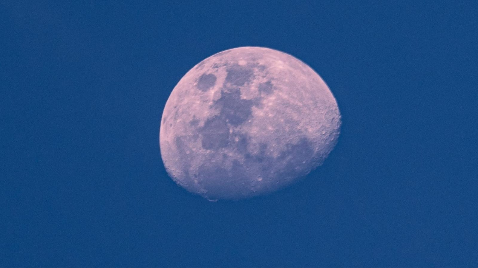 Mengapa Bulan Purnama 1 April 2026 Disebut Pink Moon? Cek Mitos dan Faktanya