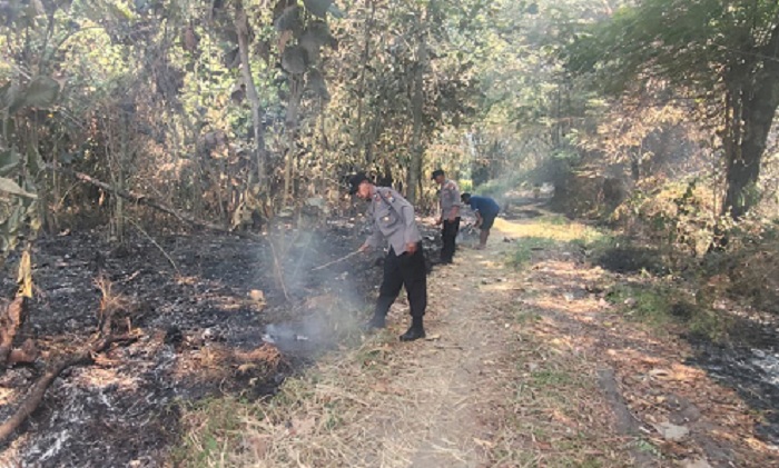 Respons Cepat Polisi Ngawi Kendalikan Kebakaran Lahan di Geneng