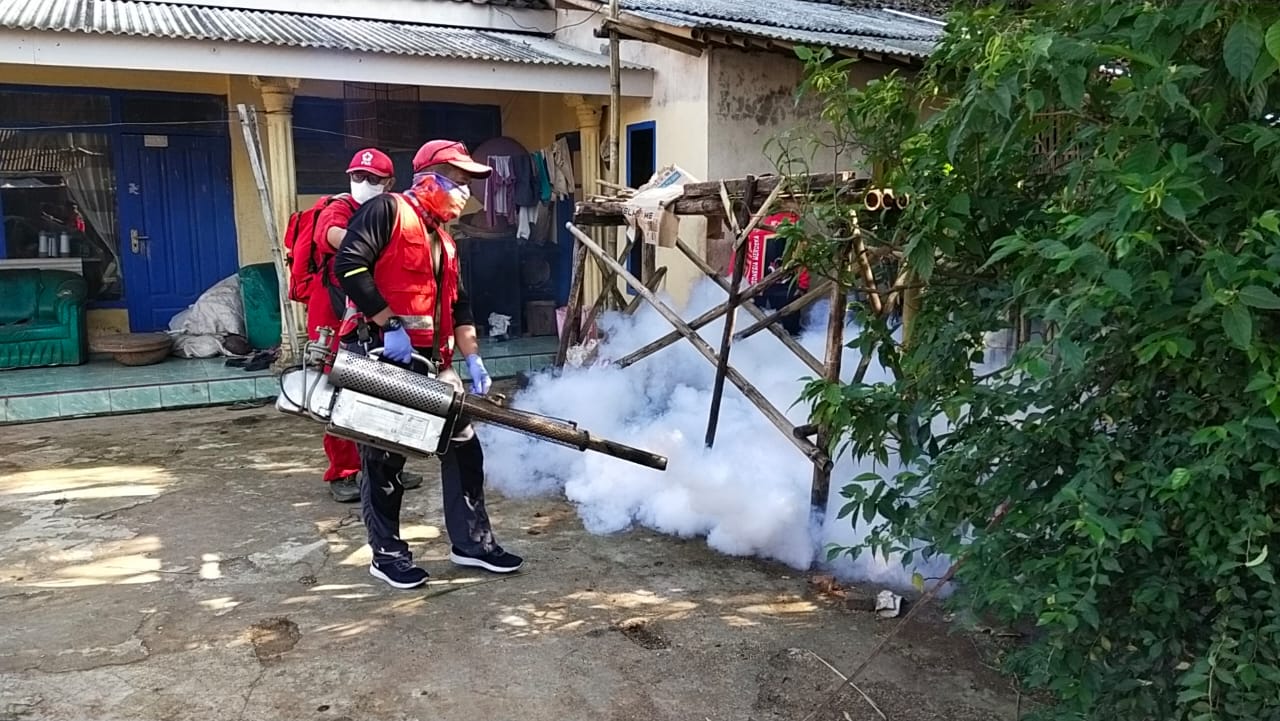 Relawan PMI Jember dan Warga Selodakon Kompak Berantas Sarang Nyamuk, Bahu-Membahu Lindungi Warga