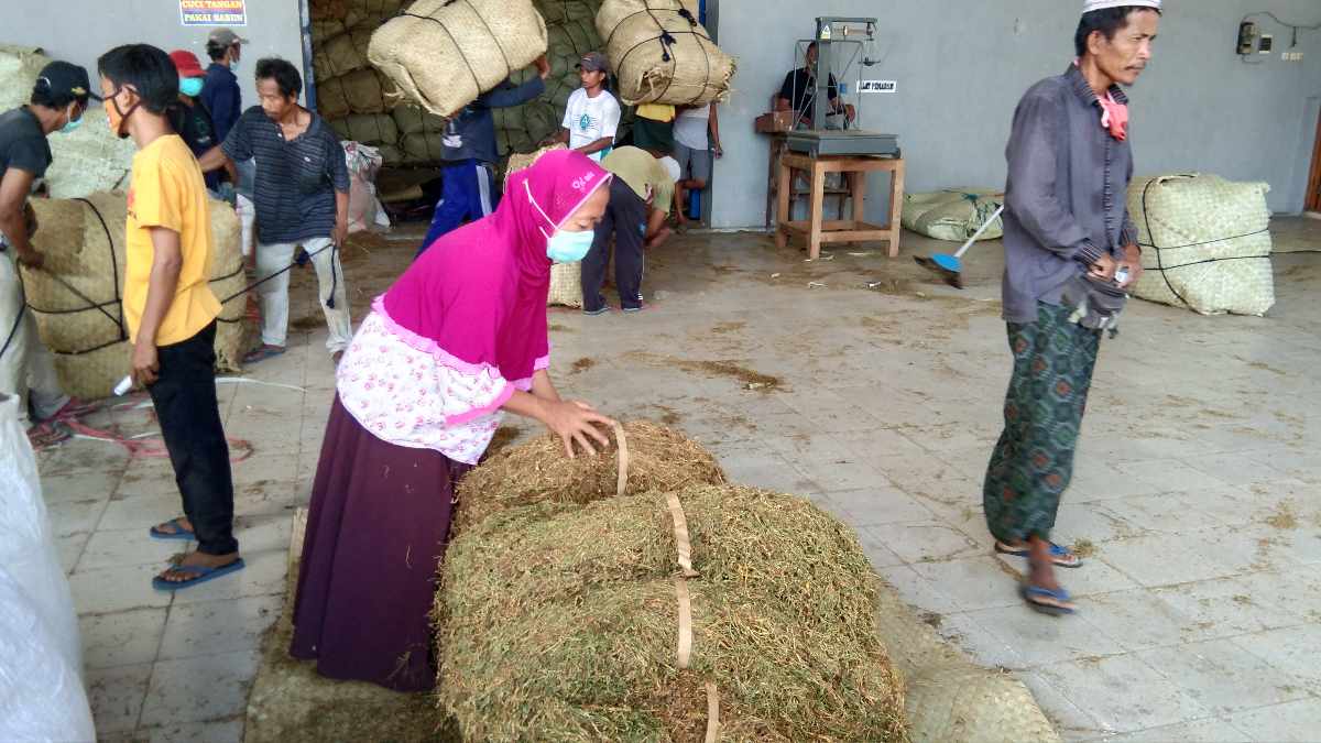 Industri Rokok Lokal di Sumenep Makin Moncer, Petani dan Masyarakat Kian Sejahtera