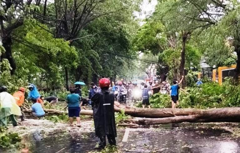 Hujan Deras dan Angin Kencang Robohkan Pohon dan PJU di Surabaya
