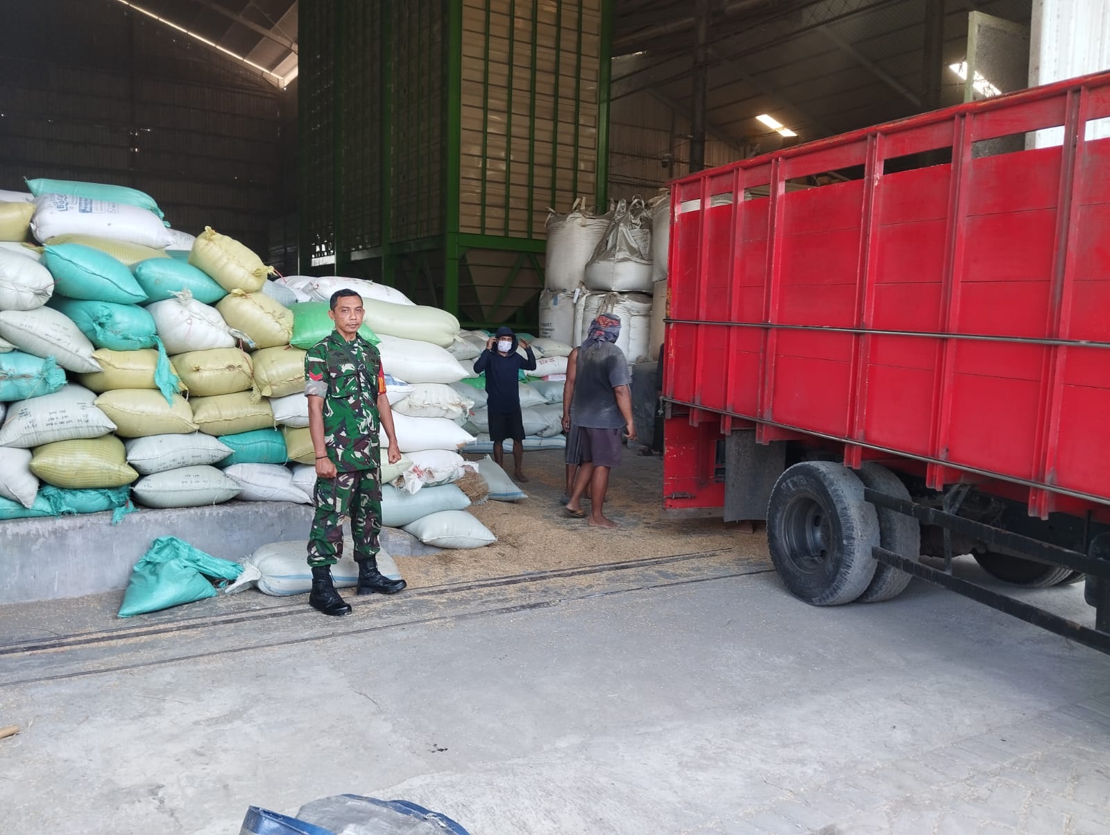 Penggilingan Padi Milik Bulog Jember Kuwalahan Terima Pasokan Sergab Babinsa