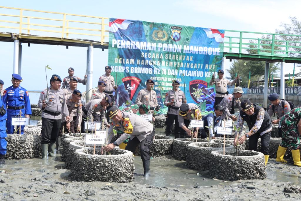 HUT Brimob Polri dan Polairud, Kapolres Lamongan Pimpin Penanaman Mangrove