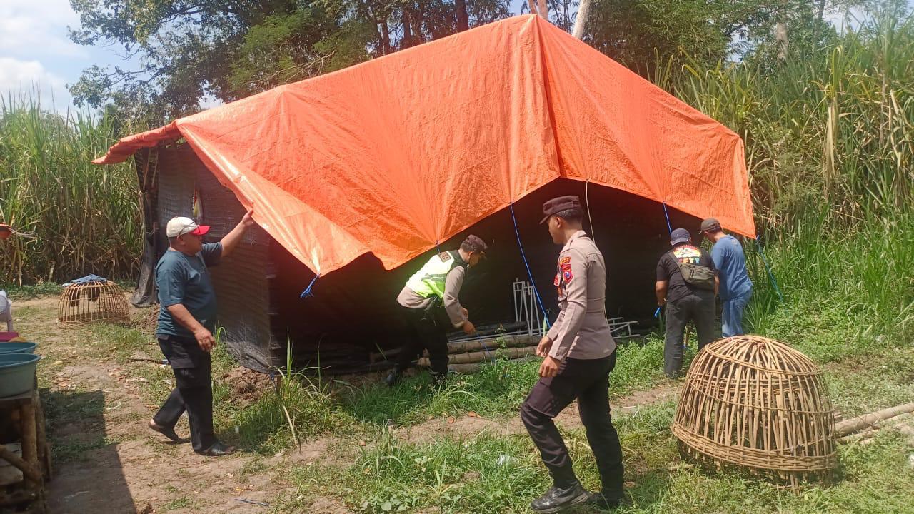 Polisi Bongkar Arena Judi Sabung Ayam di Dampit dan Bantur