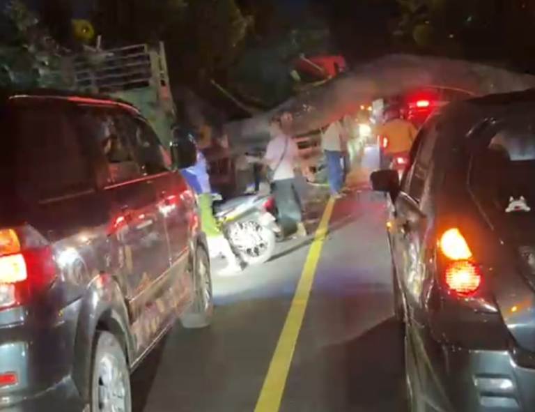 Truk Tertimpa Pohon Tumbang di Pantura Situbondo, Arus Lalin Sempat Macet